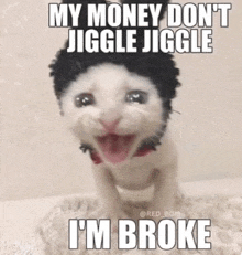 a cat with a wig on its head and the words `` my money don 't jigge jigge i 'm broke ''