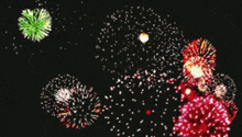 a bunch of fireworks are displayed in the sky