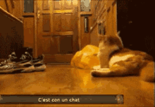a cat is laying on a wooden floor next to a sign that says c'est con un chat