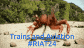 Trains And Aviation Riat24 GIF - Trains And Aviation Riat24 GIFs