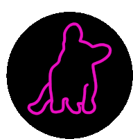 Frenchie Dog Sticker - Frenchie Dog Cute Stickers