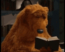 Bear In The Big Blue House Tired GIF - Bear In The Big Blue House Tired Holding Book GIFs