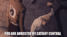 Catboy Central GIF - Catboy Central Catboy Central GIFs