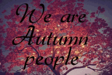 We Are Autumn People Fall Weather GIF