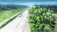 a car is driving down a road with trees on the side
