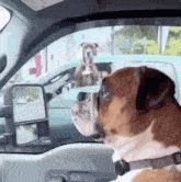 a dog is sitting in the driver 's seat of a car looking out the window at another dog .