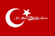 Ne Mutlu Türküm Diyene Bayrak GIF - Ne Mutlu Türküm Diyene Bayrak Türk Bayrağı GIFs