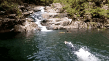 Waterfall Swim GIF - Waterfall Swim Nature GIFs