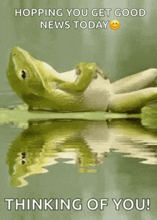 Thinking Of You Frog GIF