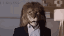 Lion Law Lion GIF - Lion Law Lion Thompson GIFs