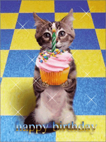 Happy Birthday Cat Cat GIF - Happy Birthday Cat Cat Birthday GIFs