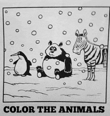 Color The Animals GIF - Color The Animals GIFs