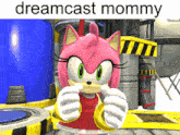 a picture of amy rose from sonic the hedgehog