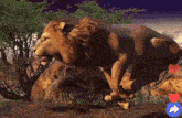 Tiktok สิงโต GIF - Tiktok สิงโต ของขวัญ GIFs