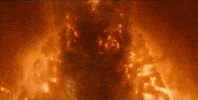 a close up of a fire with a lot of flames coming out of it