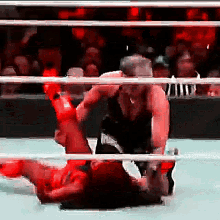 Rhea Ripley Rbea Ripey Pin GIF