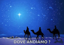 dove andiamo is written on a picture of three camels