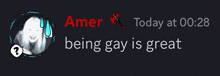 a screenshot of a person 's profile that says amer today at 00:28 being gay is great