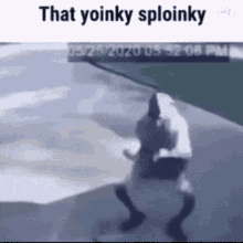 that yoinky sploinky