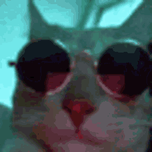 Cat Vibe GIF - Cat Vibe Catvibe GIFs