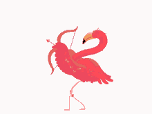 Pink Flamingo GIF - Pink Flamingo Arrow GIFs