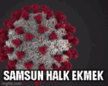 Samsun Istanbul GIF