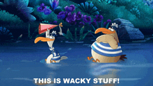 This Is Wacky Stuff Toopy And Binoo GIF - This Is Wacky Stuff Toopy And Binoo Funny Business GIFs