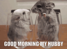 Good Morning GIF - Good Morning Hubby GIFs