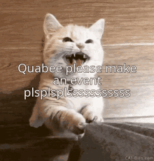 Quabee GIF - Quabee GIFs