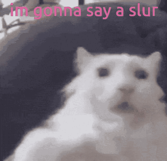 Cat Meme GIF - Cat Meme Edgy GIFs
