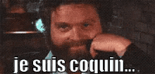 Je Suis Coquin GIF - Zach Galifianakis Very Bad Trip Hungover GIFs