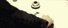 Stray Kids Stray Kids Jeongin GIF
