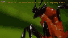 Love Feeding Them Insects GIF - Love Feeding Them Insects Feed The Assassin Bugs GIFs