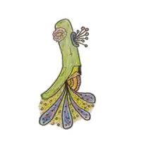 a colorful drawing of a peacock with a flower on its head
