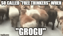 So Called Free Thinkers When Grogu Star Wars GIF - So Called Free Thinkers When Grogu Grogu Star Wars GIFs