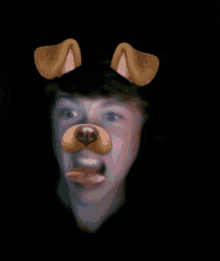 Hond GIF - Hond GIFs