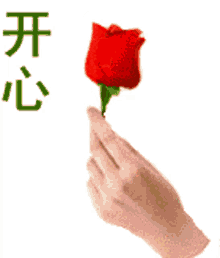flower japanese handing