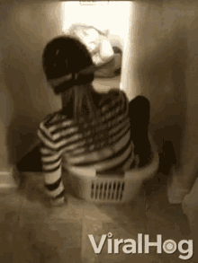 Stairs Slide Laudry Basket GIF - Stairs Slide Laudry Basket Playful GIFs