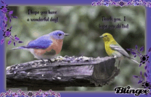 Have A Wonderful Day Birds GIF - Have A Wonderful Day Birds GIFs