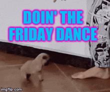 a pug puppy is walking next to a woman 's foot with the words doin ' the friday dance above it
