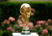 World Cup GIF - World Cup GIFs