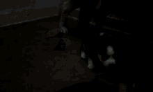 a black and white puppy laying on the floor in the dark