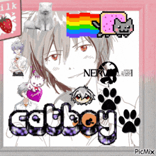 Catboy Kaworu GIF - Catboy Kaworu Evangelion GIFs