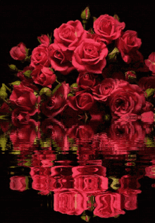 Roses For GIF