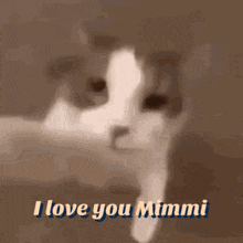 Mimmi Cat GIF - Mimmi Cat I Love You GIFs