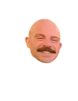 a bald man with a mustache is smiling with his eyes closed .
