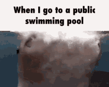 Swimming Pool GIF