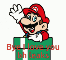 Bhleaks Bye I Love You GIF - Bhleaks Bye I Love You Mario GIFs