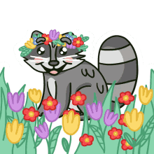 flower raccoon