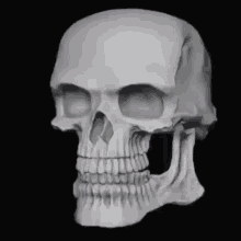 Skull Skull Emoji GIF - Skull Skull Emoji Sus GIFs